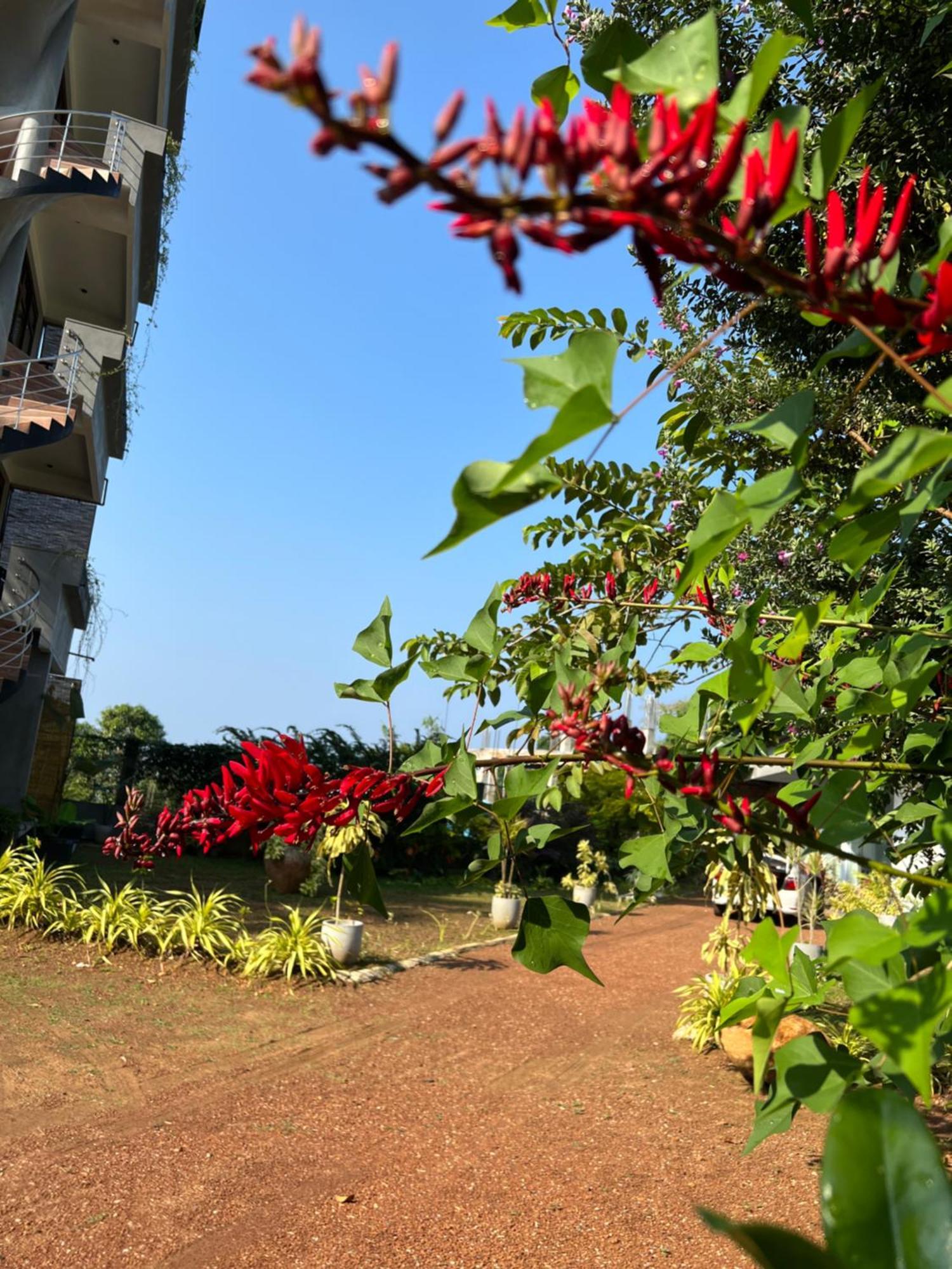 Kapaliya Unawatuna Exteriér fotografie