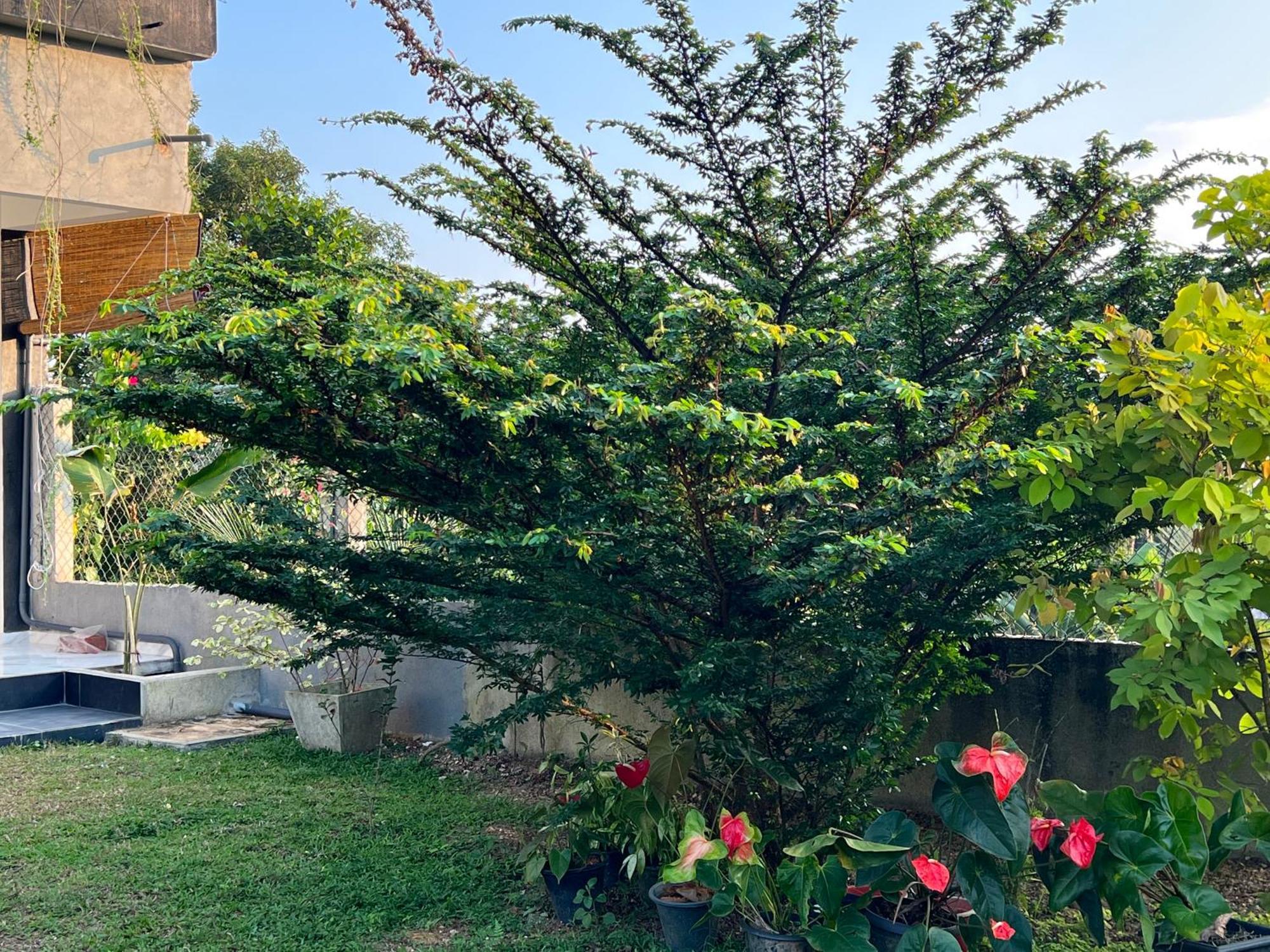 Kapaliya Unawatuna Exteriér fotografie